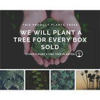 Ritual Essentials Skincare Box Set - Planet & Pine