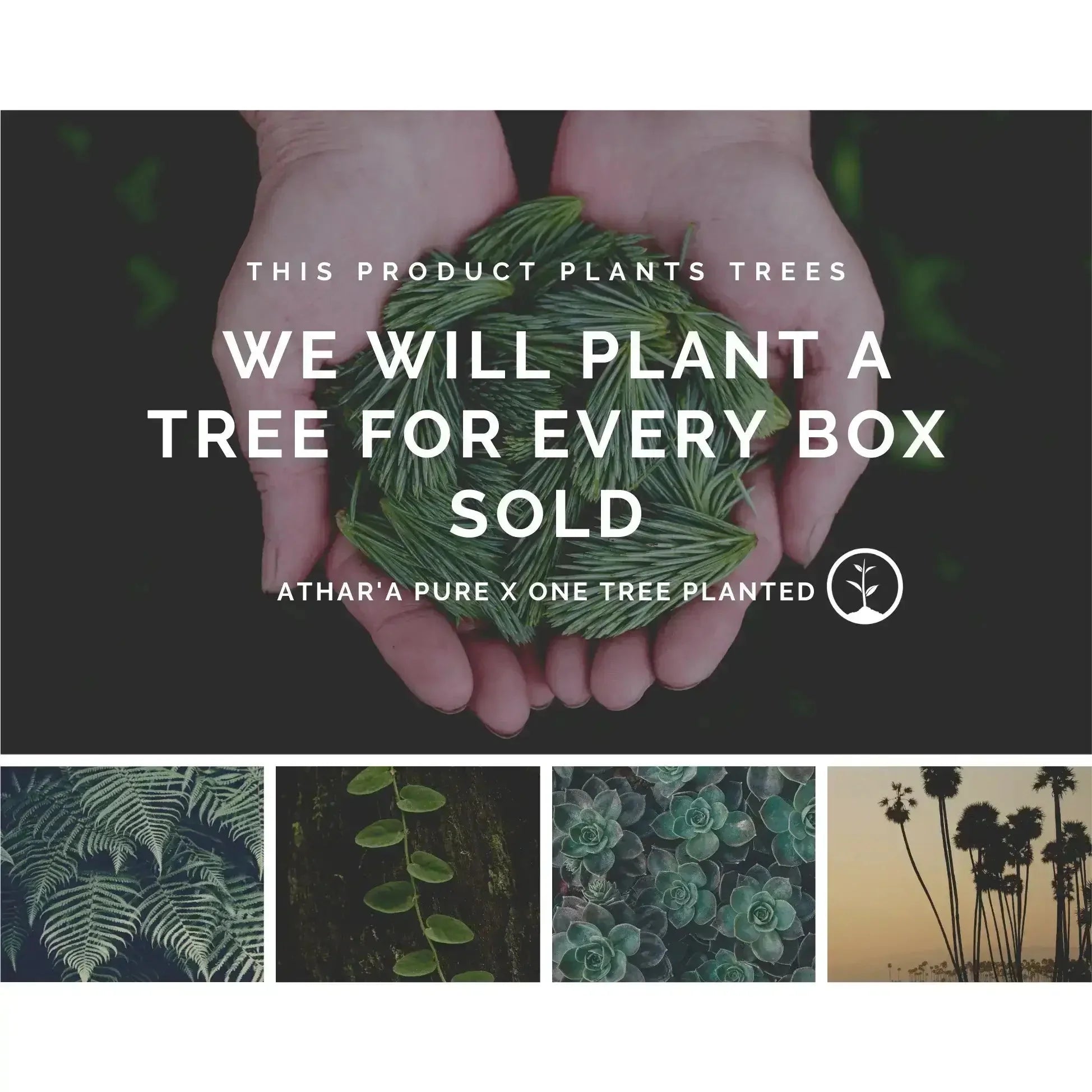 Ritual Essentials Skincare Box Set - Planet & Pine