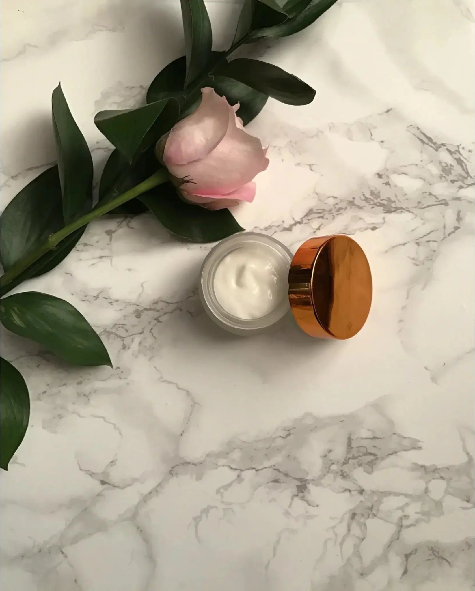 Superfruit & Jasmine Antioxidant Cream - Planet & Pine